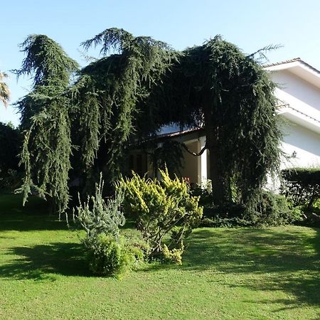 Villa Paradiso Le Rughe Экстерьер фото